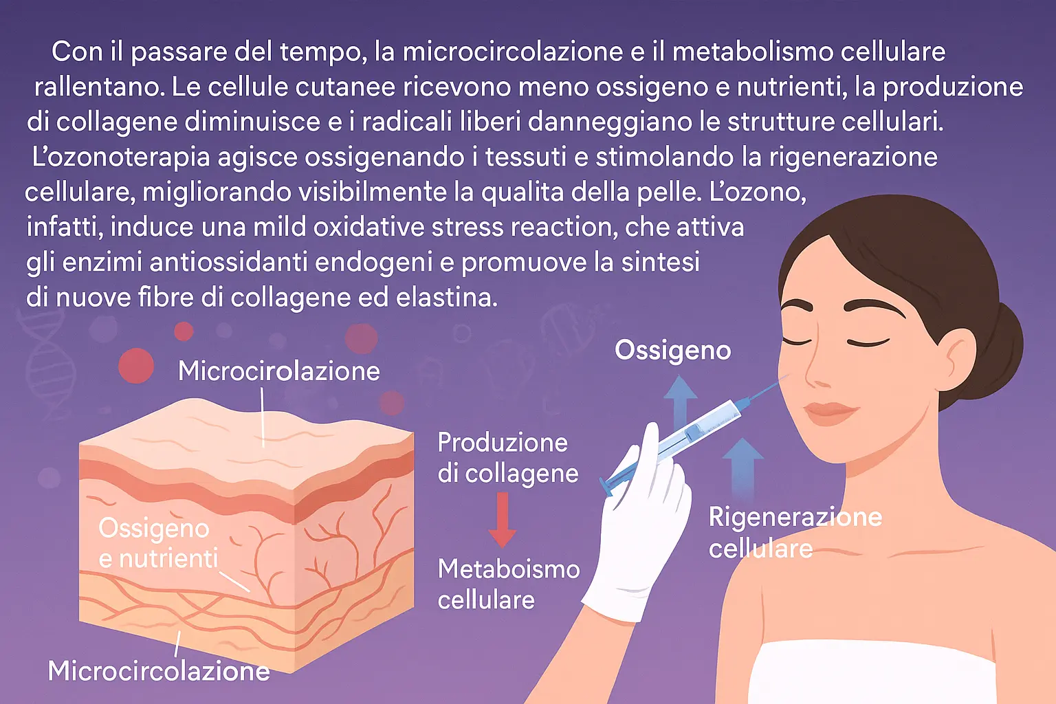 Infografica effetti benefici ozonoterapa su microcircolazione e metabolismo cellulare - antiage
